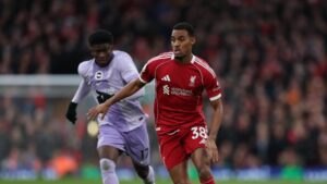 Phong độ Liverpool vs Brighton Hove Albion trước trận
